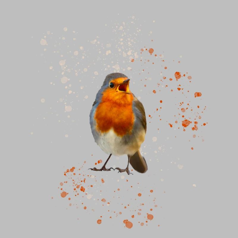 cute chirping robin Robin