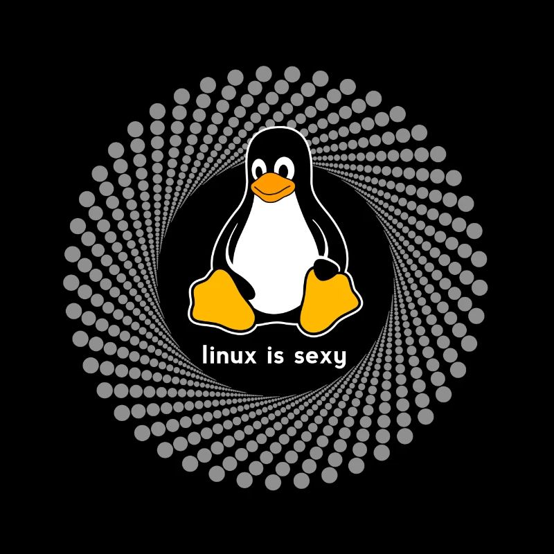 Pingouin pc Computer Nerd sysadmin programme geek