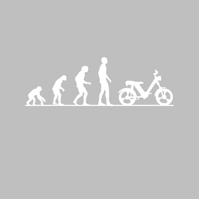 Pilote deux temps Evolution Monkey pour cyclomoteur Töffli