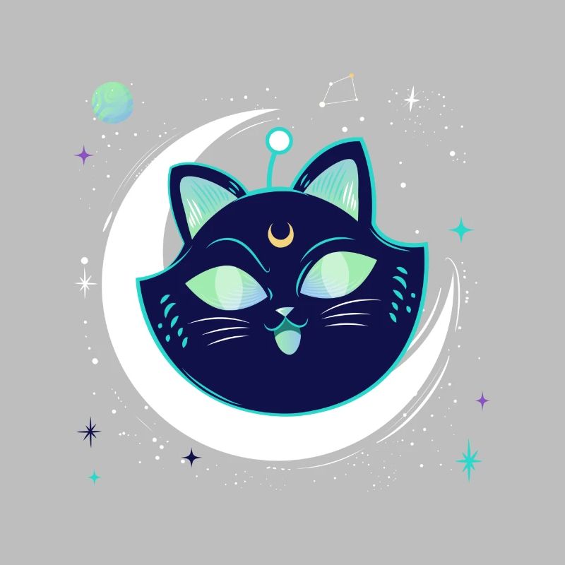Galaxy Space chat avec lune dans l’espace