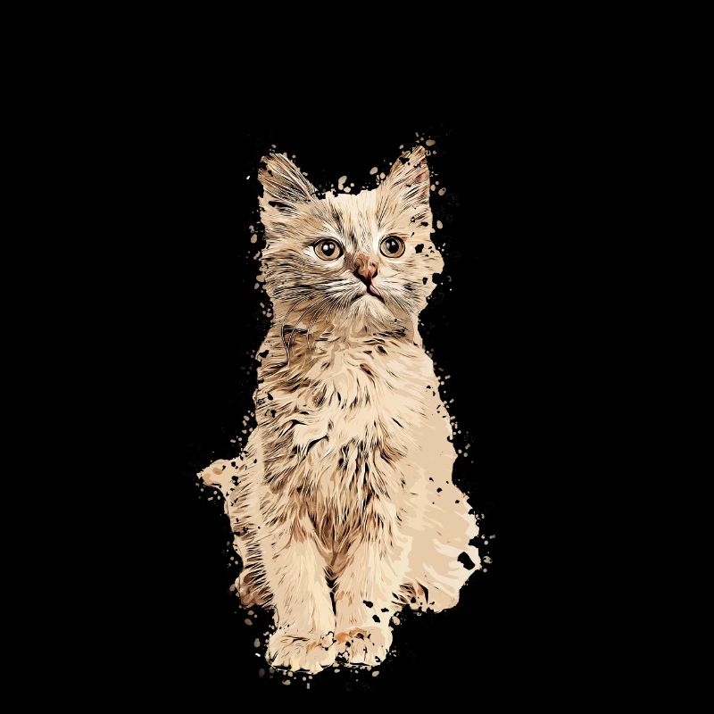 Chat persa chat chats chat