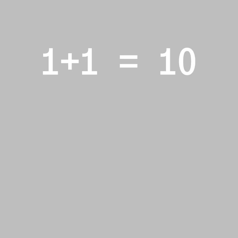 1 + 1 = 10 Funny Programmer Computer Science