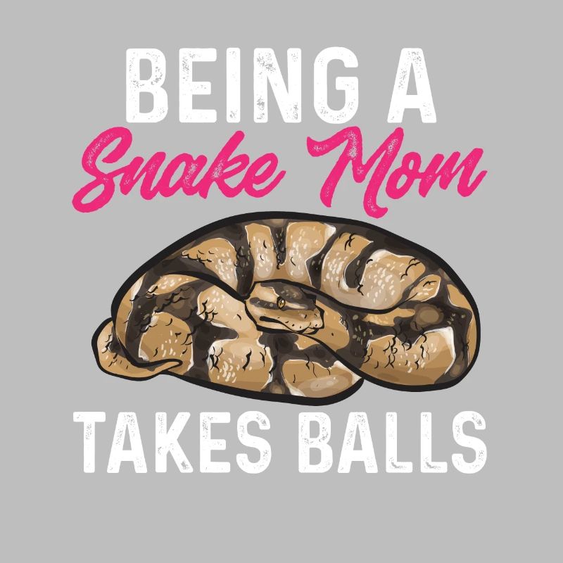 Ball Python Schlange Königspython