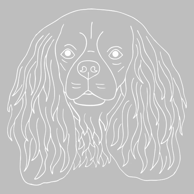 Cavalier King Charles Spaniel