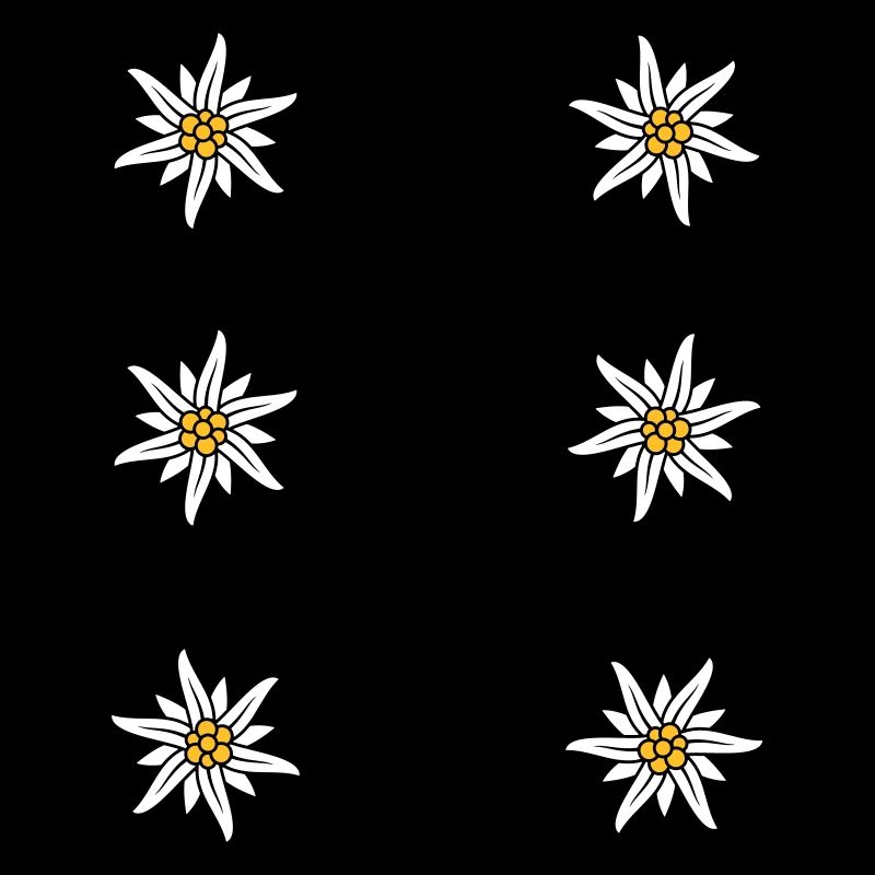 Dirndl apron Edelweiss
