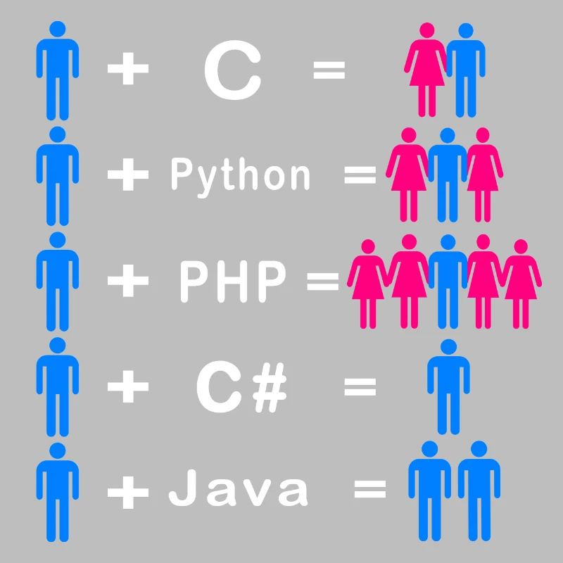 Programmeur