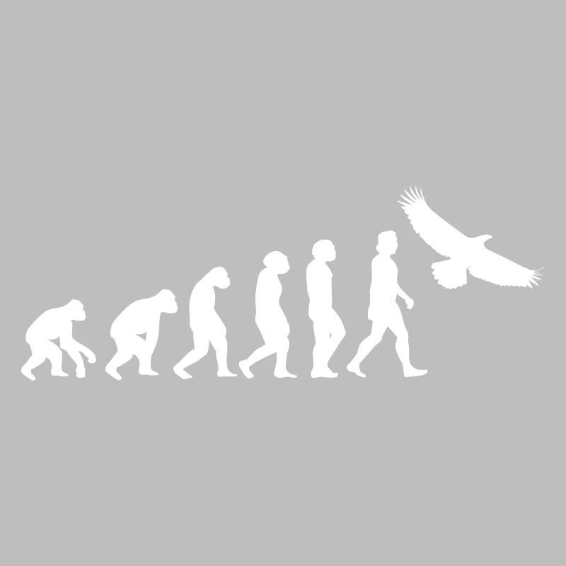 Adler weiß Evolution Tiere Greifvogel Vogel
