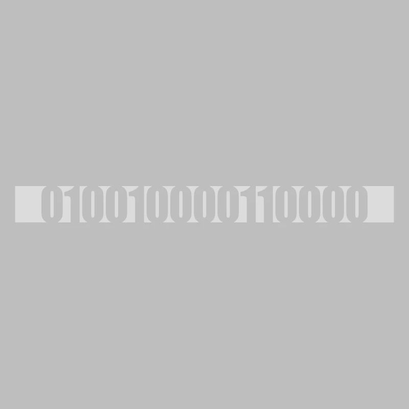 Langage de programme de code binaire