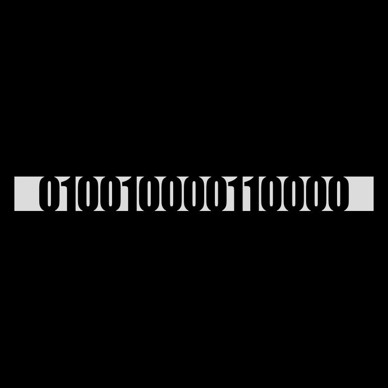 Langage de programme de code binaire