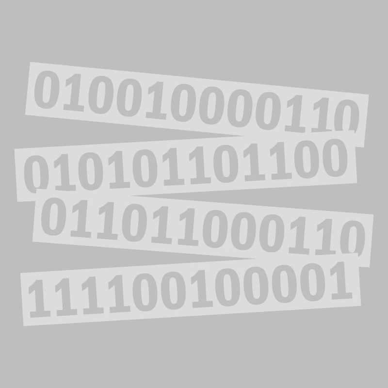 Langage de programme de code binaire