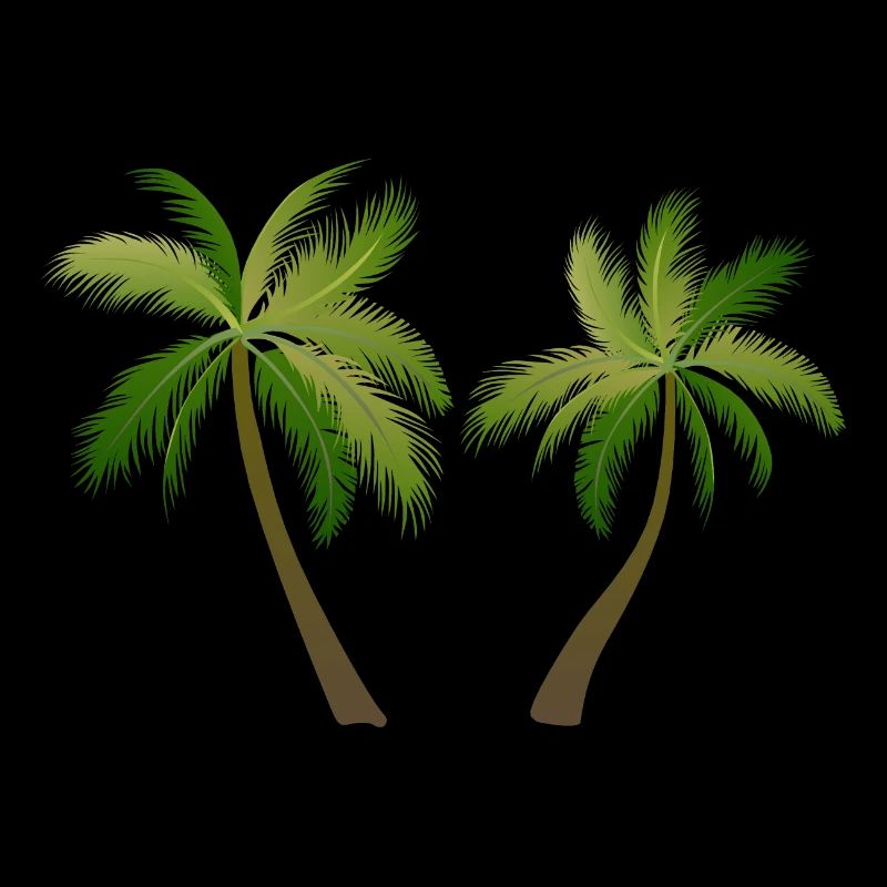 palm tree palm palms