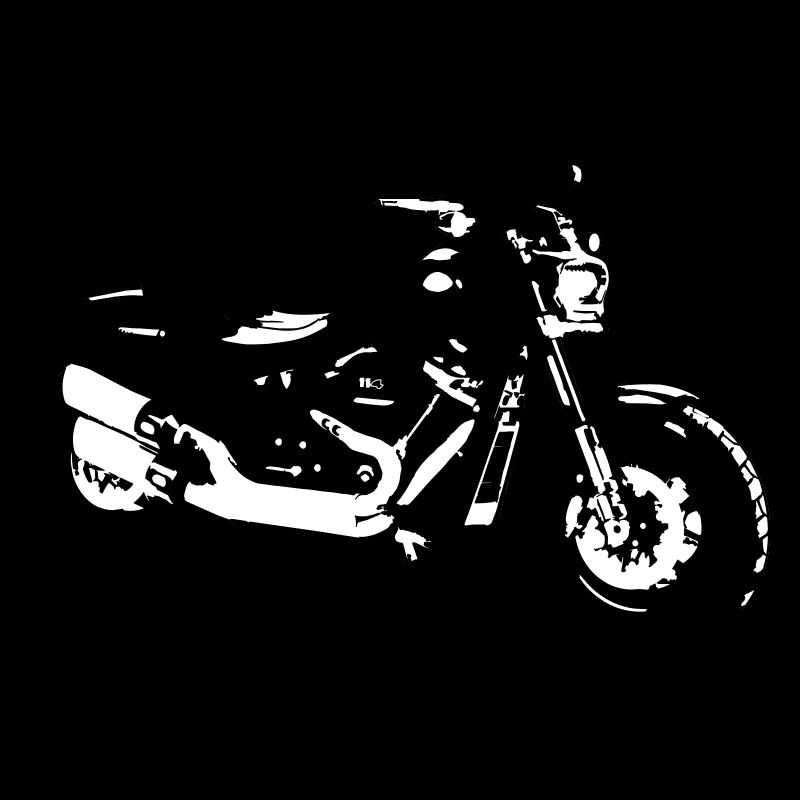 Davidson Fatbob 114