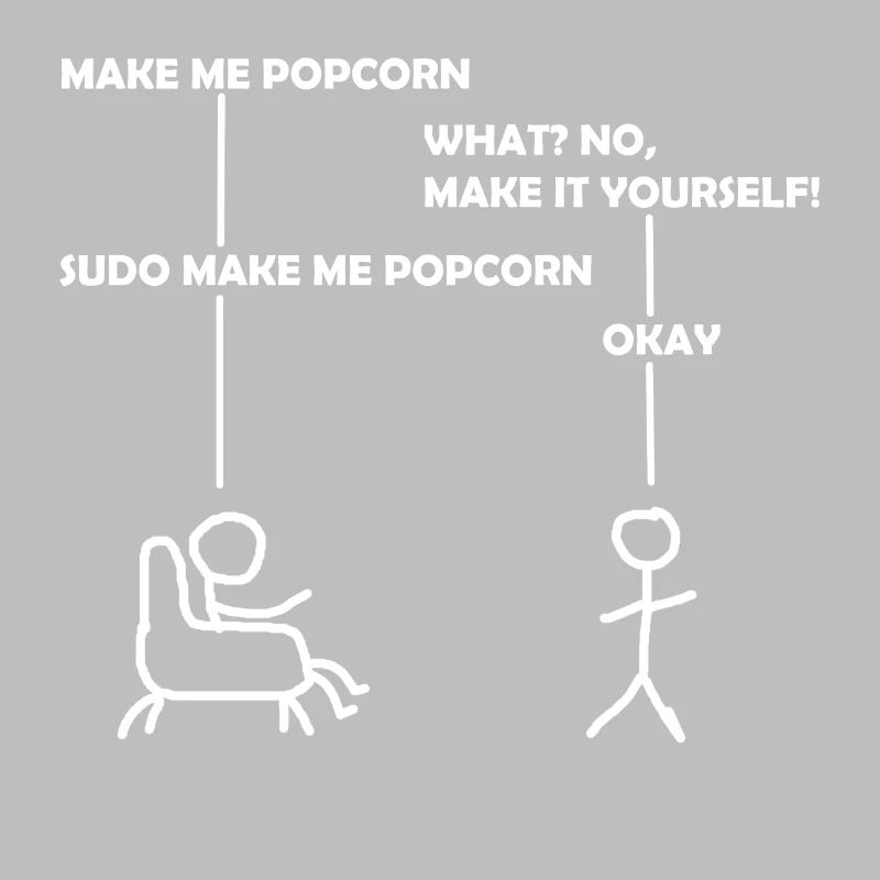 programmeur sudo informatique
