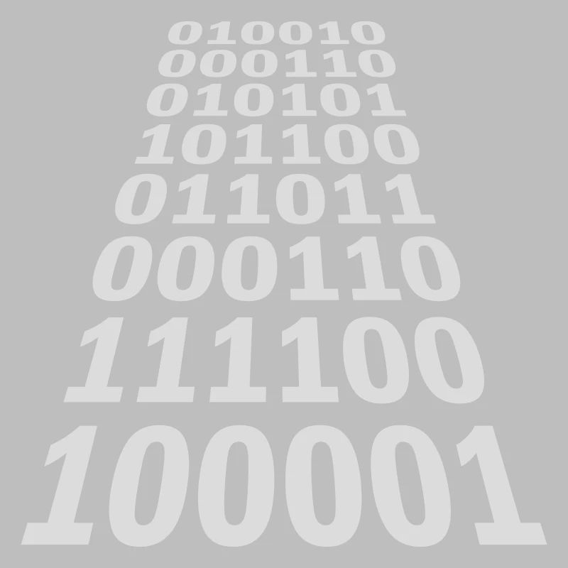 Langage de programme de code binaire