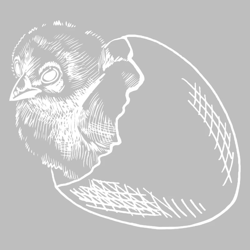 Chicks hatch egg