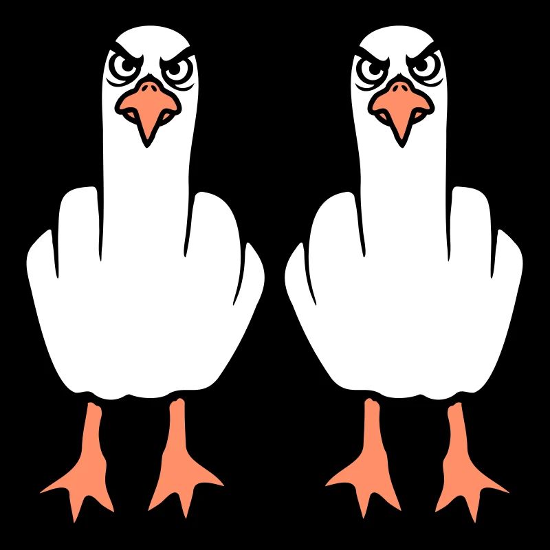 2 Seagulls Doigt d’honneur Insulte Stinkfinger Équipe