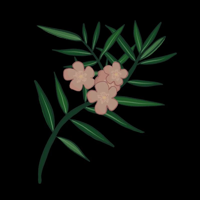 Oleanderblütenzweig