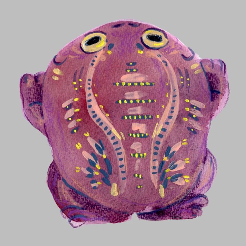 Purple Toad