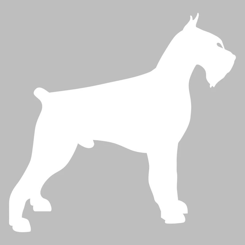 schnauzer géant