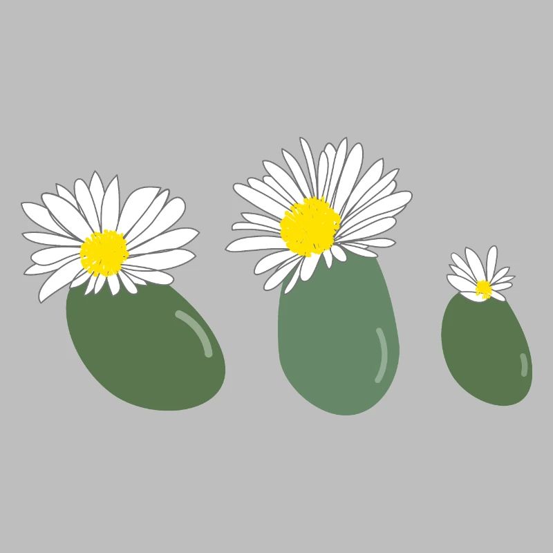 Fleur de lithops2