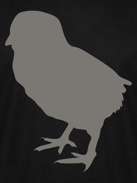 chick