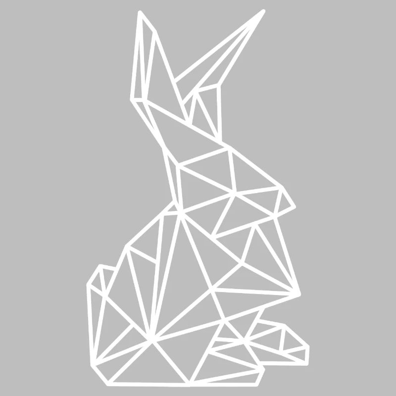 Rabbit Geometry Lines