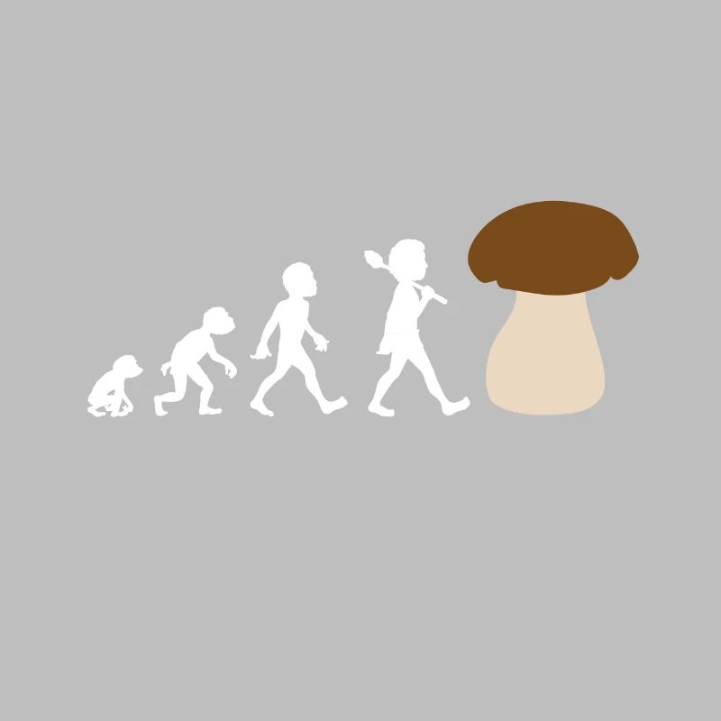 Conception de l'évolution d'un cèpe