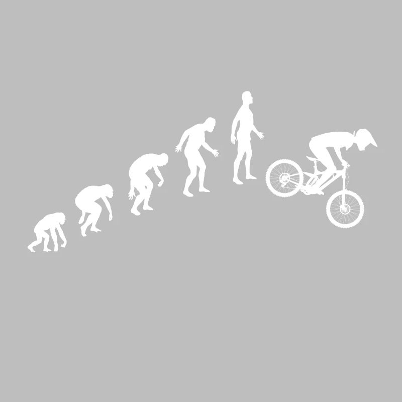Evolution de la descente