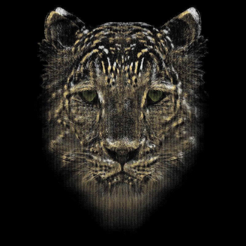 LEOPARD