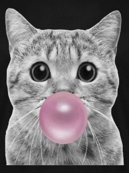 Chat bulle