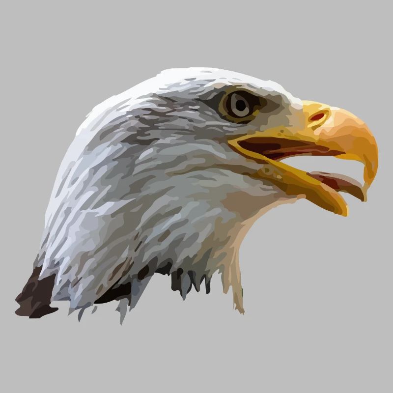bald eagle