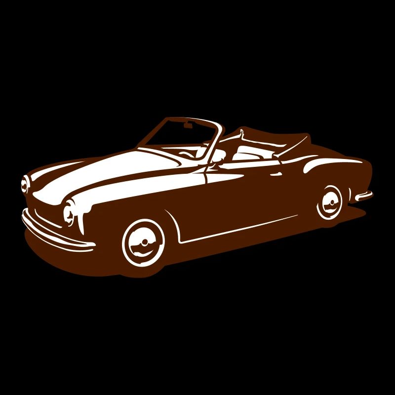 Oldtimer Cabrio 14 (2c)