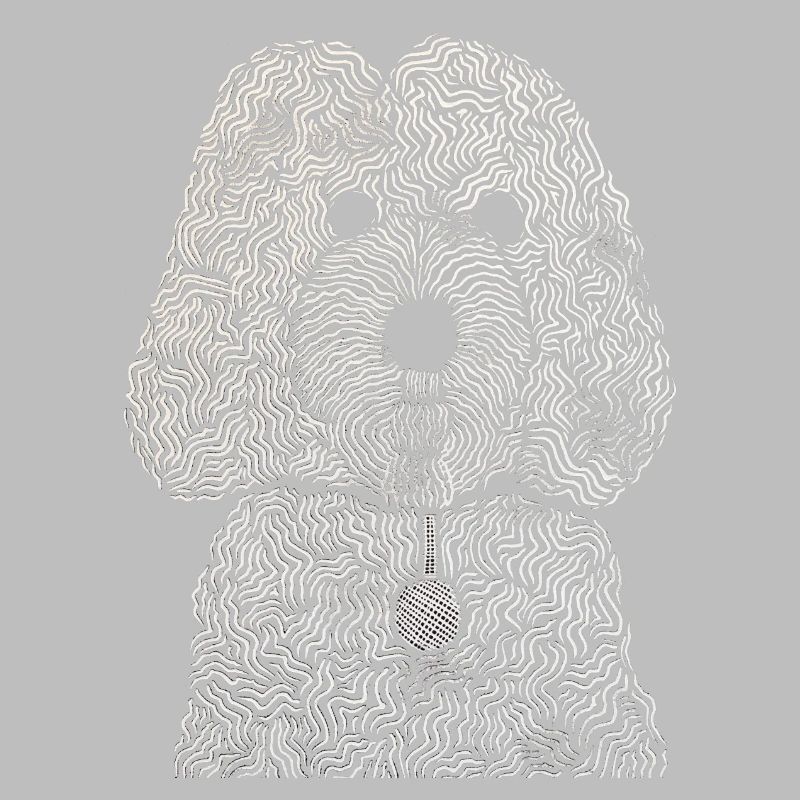 Cockapoo