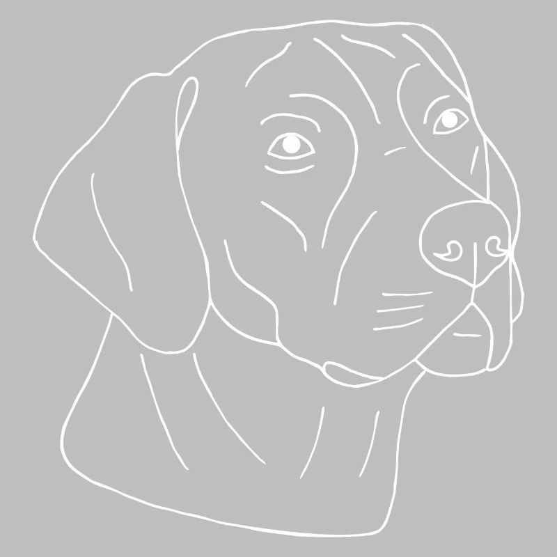 Rhodesian Ridgeback