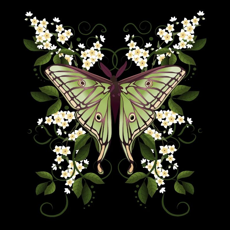 papillon papillon papillon papillon