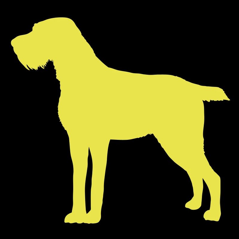 German Wirehaired Pointer