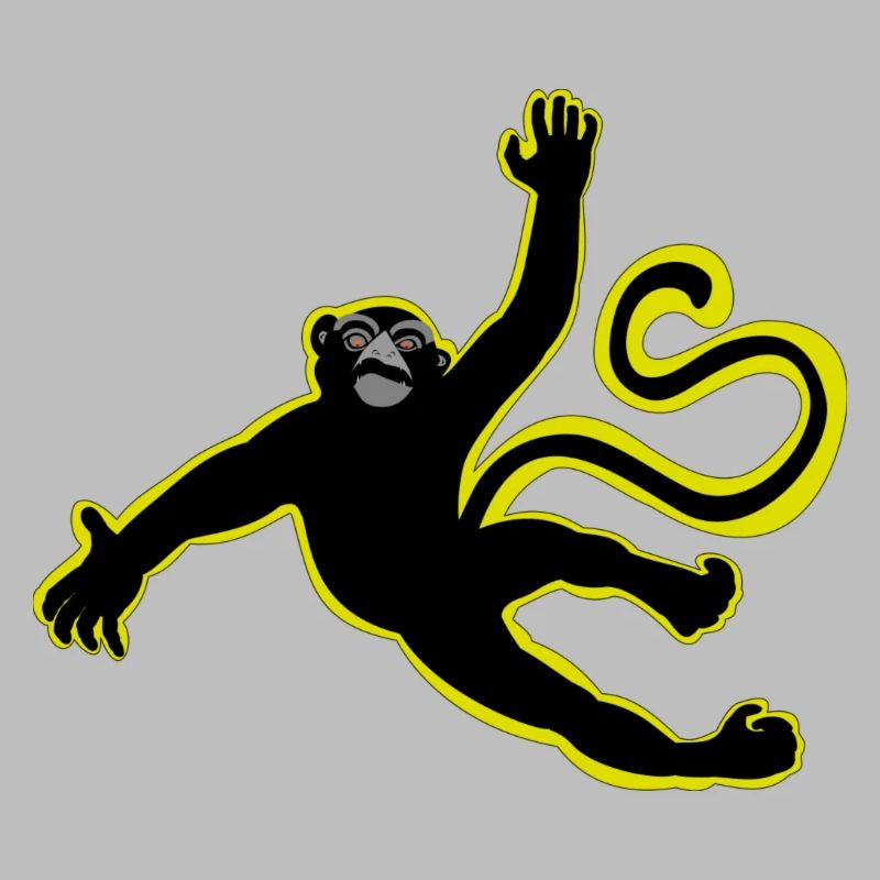 The flying monkey / The flying monkey