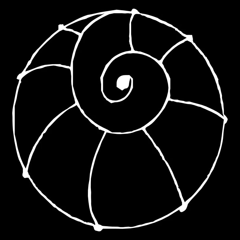 shell