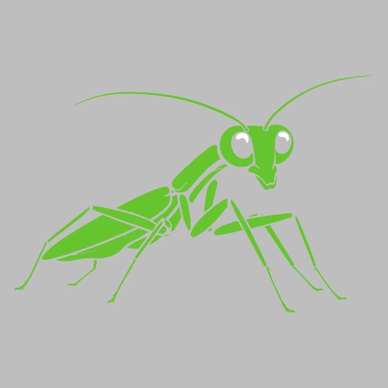 Praying mantis
