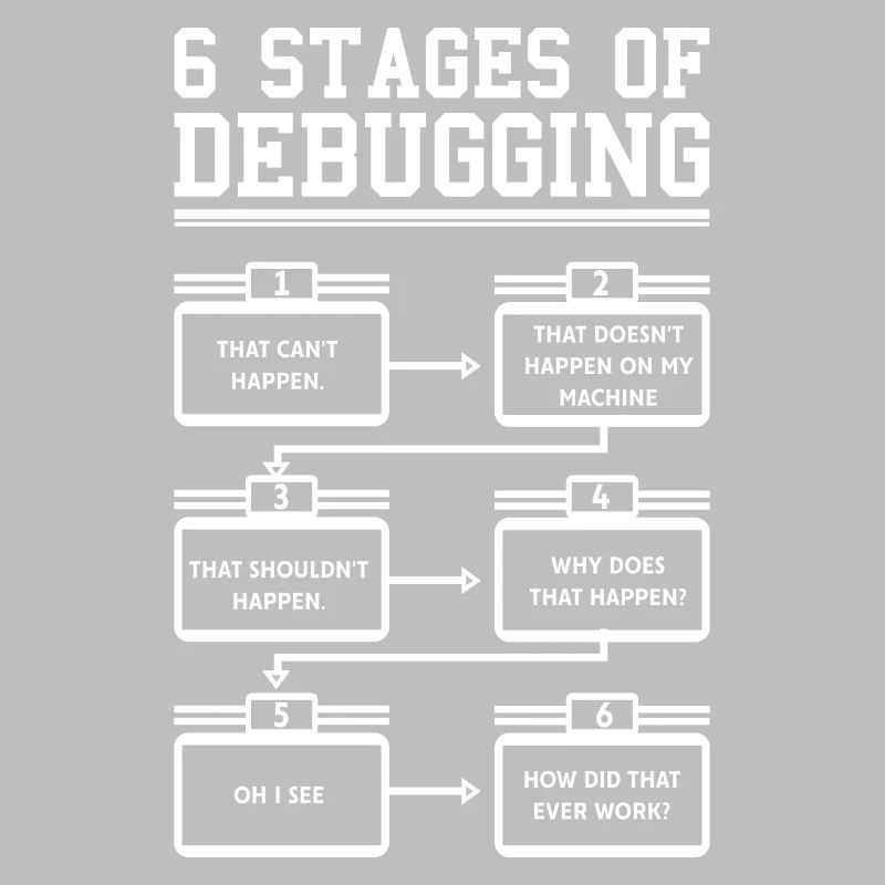 6 Stages of Debugging Software Programmeur