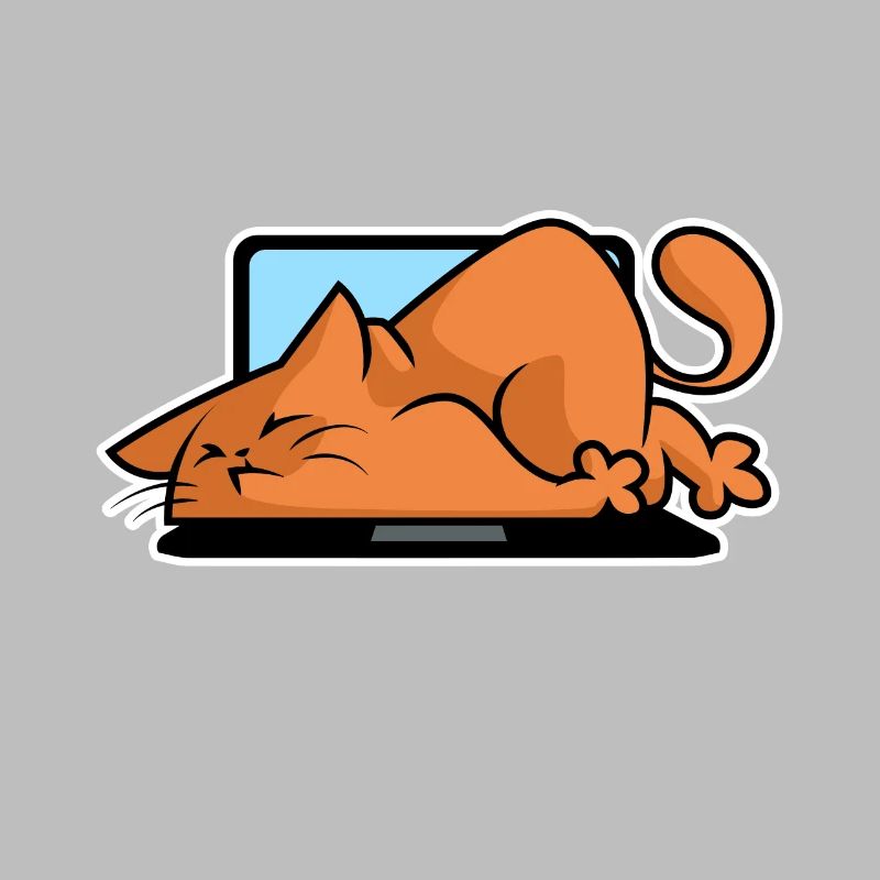 Katzen und Computer