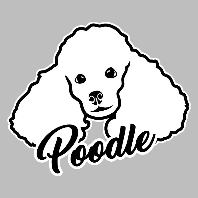 Caniche