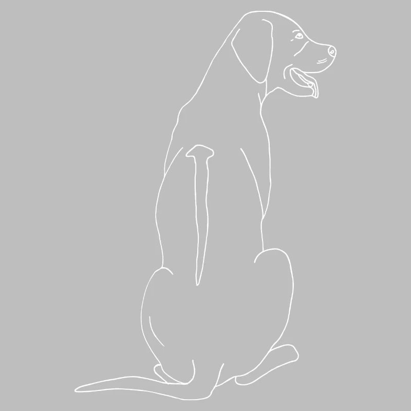 Rhodesian Ridgeback