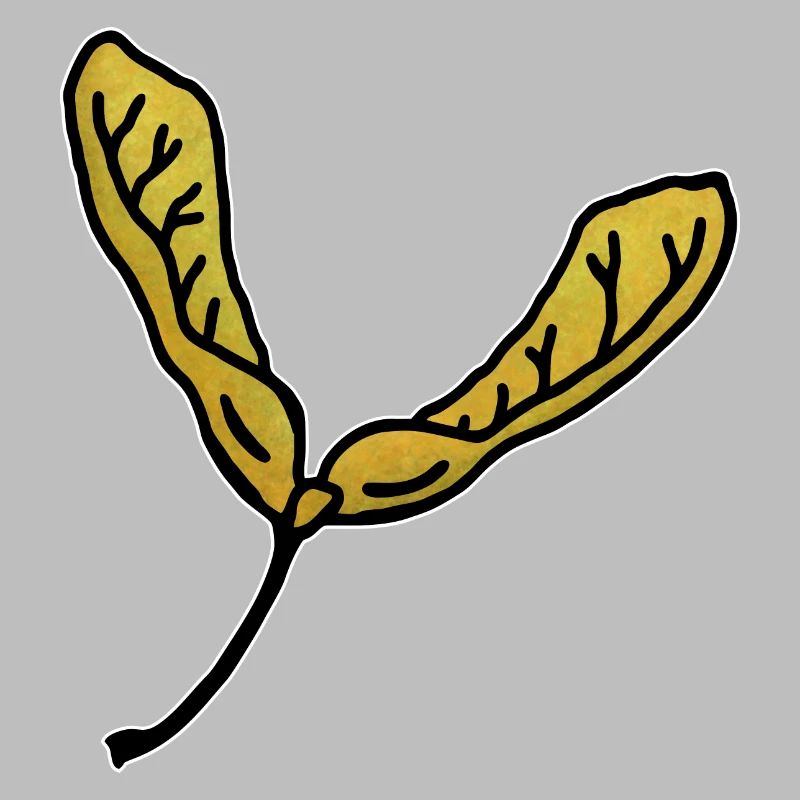 Maple leaf propeller fruit maple tree wings