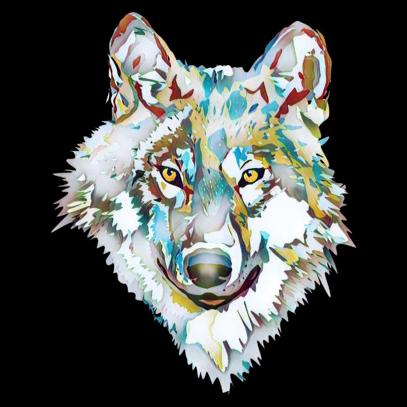 Hund Wolf Eis
