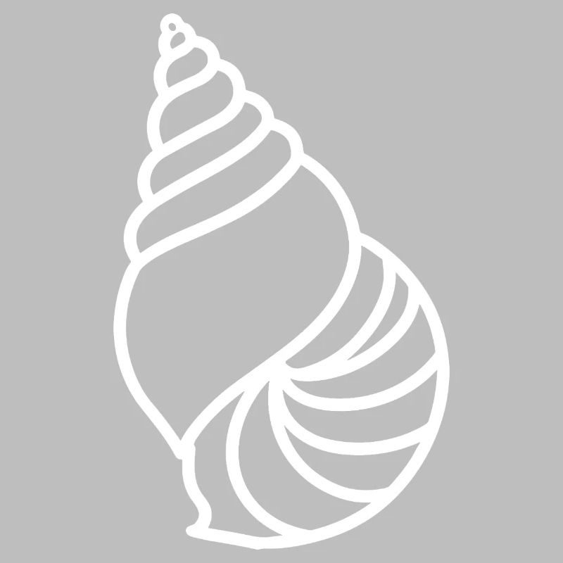 shell