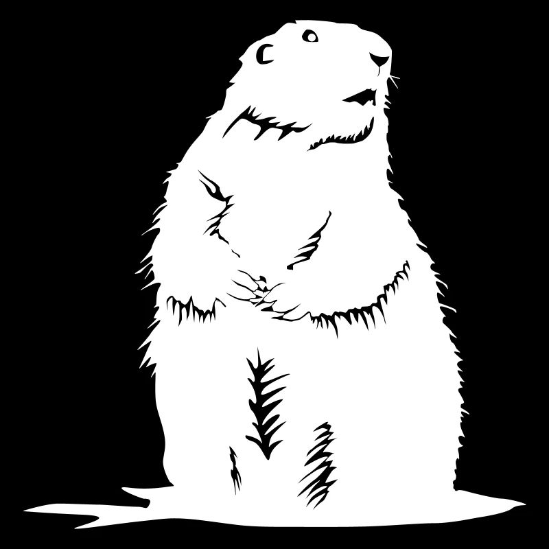 Murmeltier