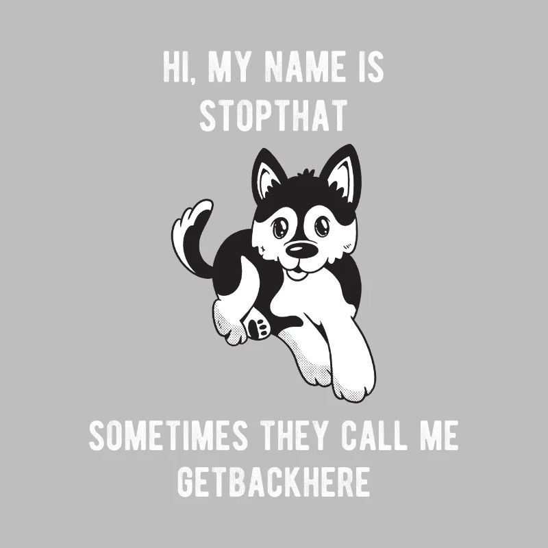 Mon nom est Stopthat Getbackhere Pomsky Hyper Dog