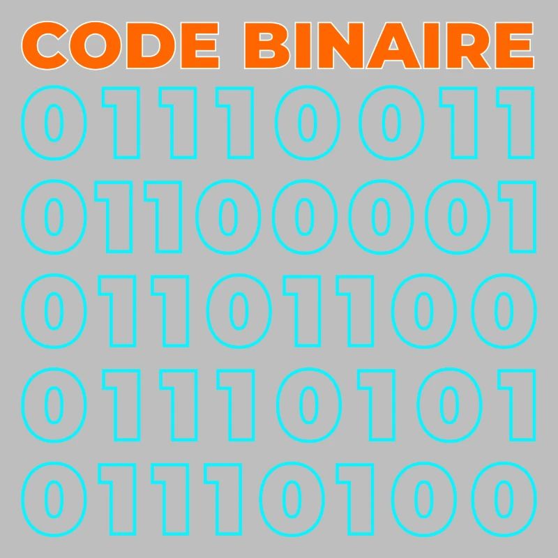Code binaire