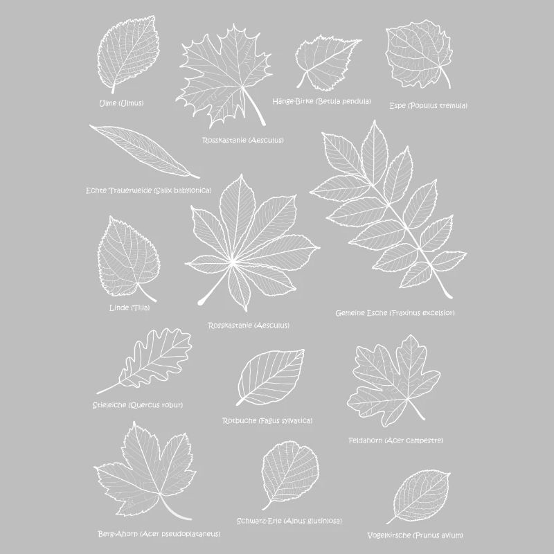 Leaves, foliage, deciduous tree, leaf, herbal tree